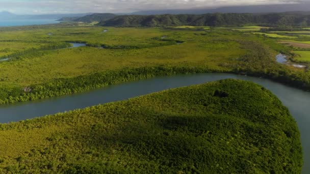 Fiume Daintree Con Grande Sfondo Dividing Range Paesaggio Aereo — Video Stock