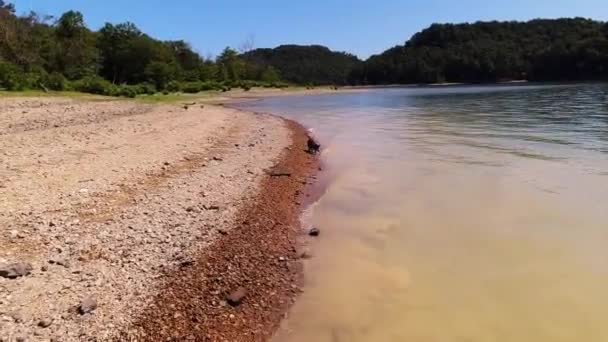 Petit Terrier Métis Noir Marchant Long Rive Une Île Sur — Video