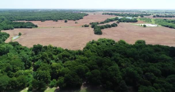 Luchtfoto Van Een Veld Alvarado Texas — Stockvideo