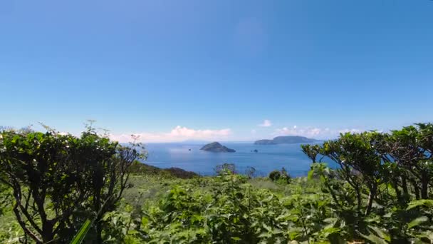 Weiter Blick Durch Das Grün Auf Das Offene Meer Mit — Stockvideo