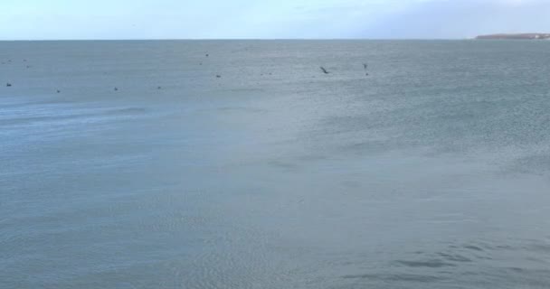 Amplias Vistas Del Mar Cortés Desde San Felipe Baja California — Vídeos de Stock