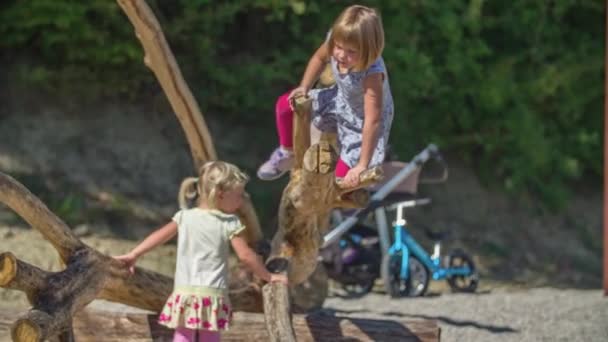 Mladé Děti Hrají Nad Spadlým Suchým Stromem Piknikovém Místě Jezera — Stock video