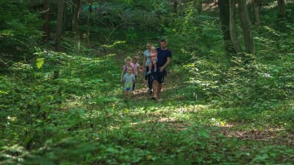 Familienspaziergang Wald Erkundung Der Natur — Stockvideo