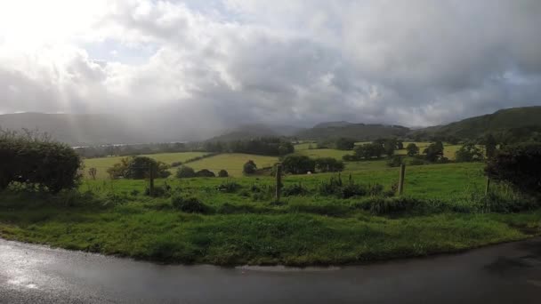 Los Ciclistas Pasan Camino Mojado Lluvia Ligera Frente Paisaje Verde — Vídeo de stock