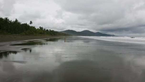 Las Moscas Aéreas Cierran Sobre Playa Vuelan Alto Nuqui Colombia — Vídeos de Stock