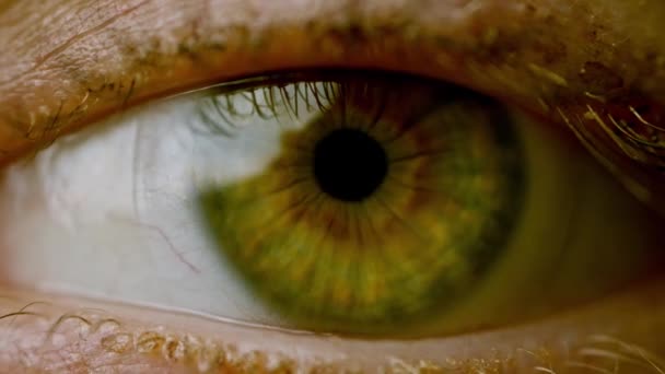 Groen Open Oog Close Met Contactglas — Stockvideo