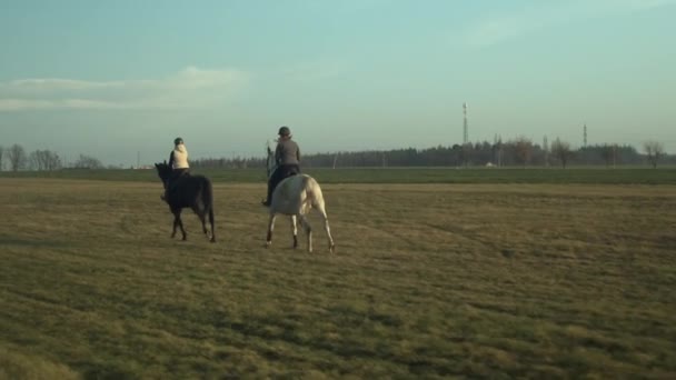 Seguindo Dois Cavalos Com Jóqueis Galopando Pelo Campo Câmera Lenta — Vídeo de Stock