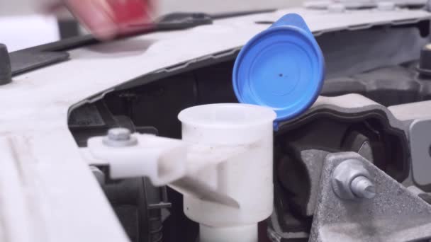 Meccanico Auto Sta Riempiendo Liquido Lavavetri Sul Servizio Manutenzione Annuale — Video Stock
