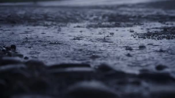 Regen Druppels Spetteren Modderige Plassen Een Varkensboerderij — Stockvideo