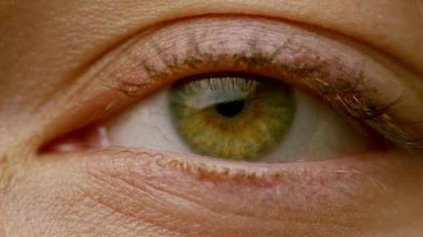 Zoom Een Groen Oog — Stockvideo