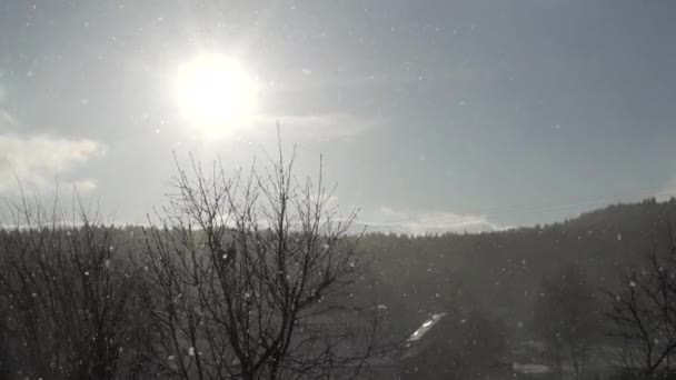 Handheld Sonne Scheint Bei Schneesturm Baum Und Landschaft Als Silhouette — Stockvideo