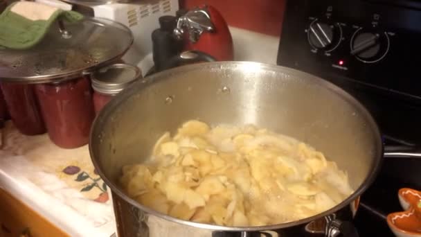 Homme Faisant Compote Pommes Sur Cuisinière Dans Cuisine — Video
