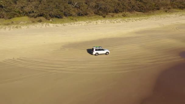 4Wd Dirigir Uma Praia Austrália — Vídeo de Stock