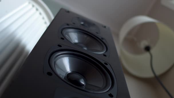 Low Looking Tower Speaker Two Bass Speakers Vibrating Bass — Stock Video