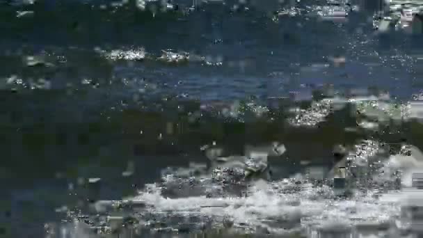 Zblízka Záběr Jezerních Vln — Stock video