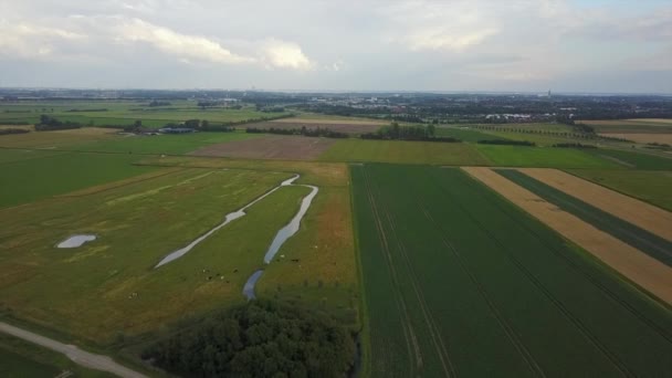 夏の間のゼーラント州 オランダ の牧草地の空中 — ストック動画