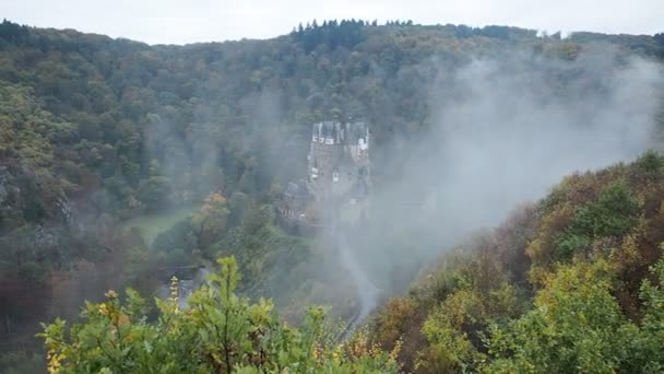 Eifel Almanya Nın Orman Ağaçlarında Sis — Stok video