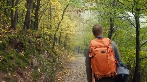 Joven Explorando Bosques Eifel Alemania Mochilero — Vídeo de stock