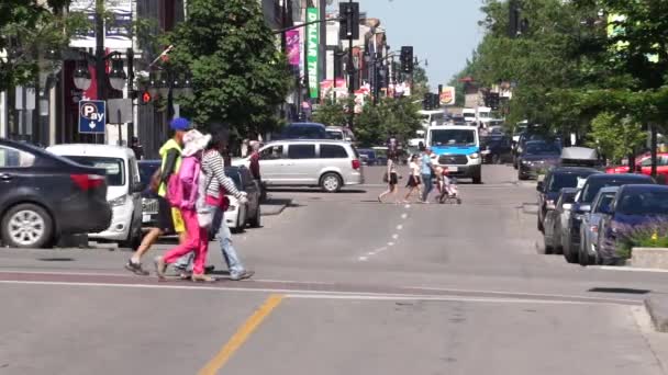 中規模のカナダの都市交通と歩行者のメインストリートのテレフォトショットは ショットを通過します 夏と晴れ — ストック動画