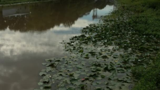 Uma Panela Para Cima Tiro Bayou Para Uma Antiga Ponte — Vídeo de Stock