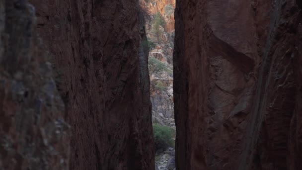 Red Rock Crevice Vertical Pan — Vídeo de stock