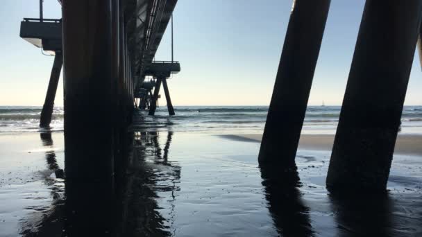 Une Vue Ensemble Activité Sur Plage Sous Jetée Plage Venise — Video