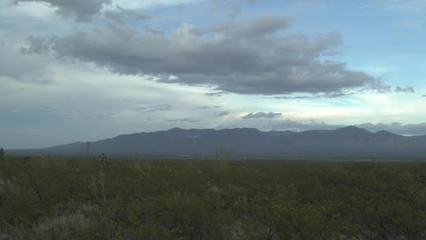 Desierto Potosí Con Montaña Fondo — Vídeos de Stock