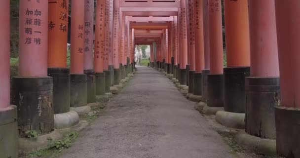 Fushimi Inari Taisha Kyoto Japón Color Sin Clasificar Mirando Hacia — Vídeo de stock