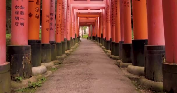 伏見稲荷大社 京都の千本の赤い門 門を上下に開き 人がいない — ストック動画