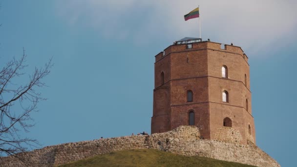 Torre Gediminas Vilnius Con Bandiera Lituana — Video Stock