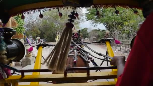 말이끄는 마차타기 타실을 매달려서 — 비디오
