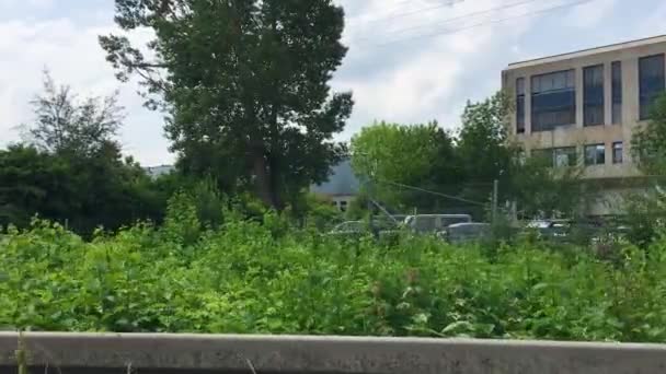 Yazın Geçen Bir Arabanın Camından Görülen Yeşil Çalılar Ağaçların Arkasında — Stok video