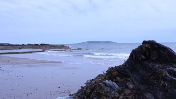 Maré Chegar Com Praia Rochas — Vídeo de Stock