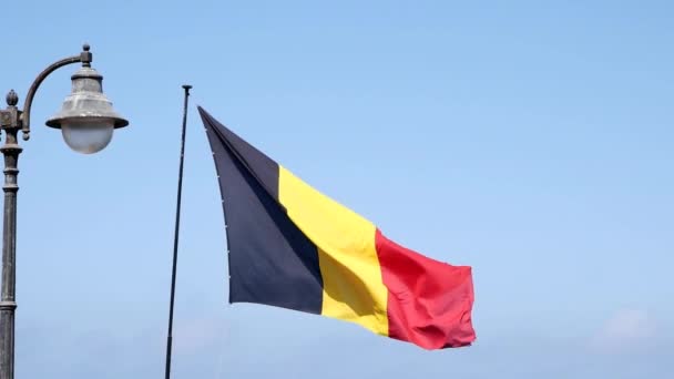 Drapeau Belgique Flottant Dans Brise — Video