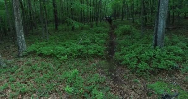 Dağ Bisikletçilerinden Oluşan Uzun Bir Sıra Yükseliyor Ormanda Tek Bir — Stok video
