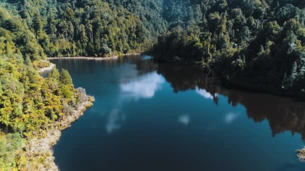 Aerial View Beautiful River — Stock Video