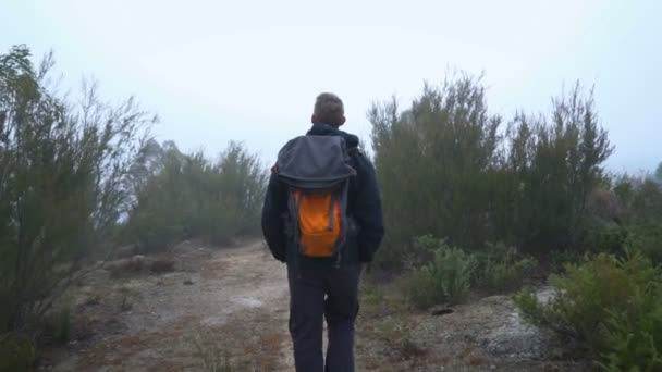 Joven Con Mochila Caminando Por Las Montañas Una Mañana Brumosa — Vídeos de Stock