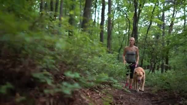 Hübsche Blonde Frau Läuft Labrador Retriever Der Leine Durch Den — Stockvideo