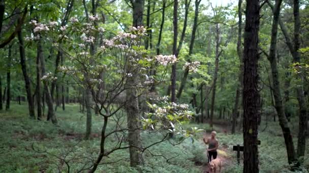 Mulher Bonita Com Cão Caminhando Através Uma Floresta Olha Para — Vídeo de Stock