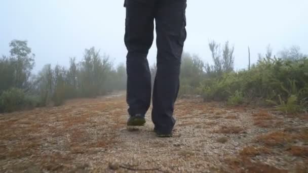 Genç Adam Sisli Bir Sabahta Dağların Arasında Orman Yolunda Yürüyüş — Stok video