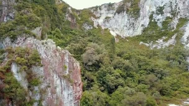 Aerial View New Zealand Landscape — Stock Video