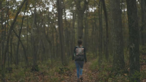 Jeune Femme Randonnée Dans Vallée Shenandoah — Video