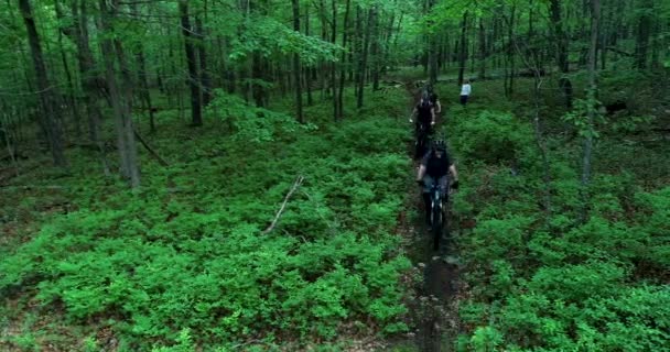 Dağ Bisikletçilerinin Üstündeki Hava Kamerası Bir Ormanda Tek Bir Rayla — Stok video