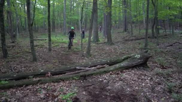 Крупный План Горных Велосипедистов Прыгающих Через Бревно Лесу Одной Дорожки — стоковое видео