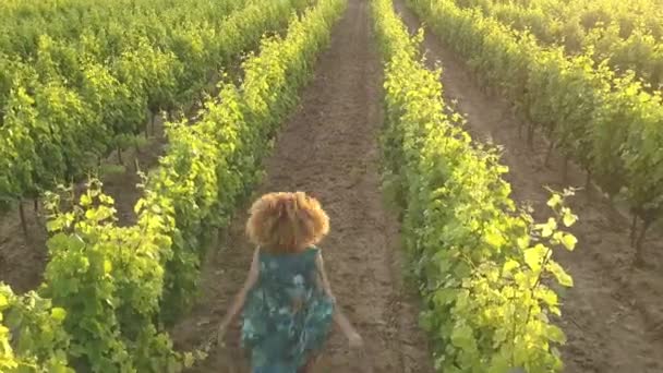 法国南部普罗旺斯 一个女孩在葡萄园附近奔跑的空中镜头 显示了日落时的一排排葡萄藤 — 图库视频影像