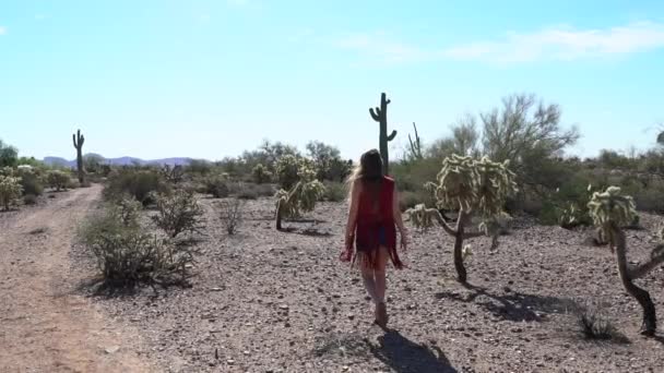 Mujer Caminando Por Desierto Cámara Lenta Usando Ropa Tradicional Para — Vídeos de Stock