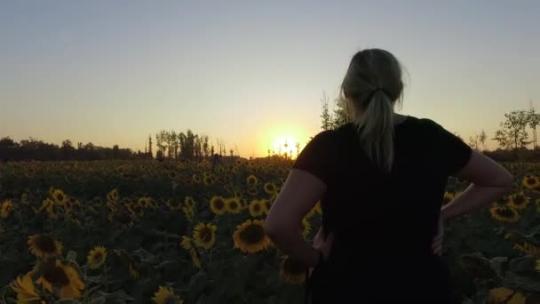 Girl standing in a sunflower field at dusk. a beautiful sunset with sunflowers as far as the eye can see. pretty skies and sunsets.