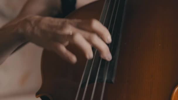 Kvinnlig Cellist Plockar Strängarna Cello När Han Spelar Stråkkvartett — Stockvideo