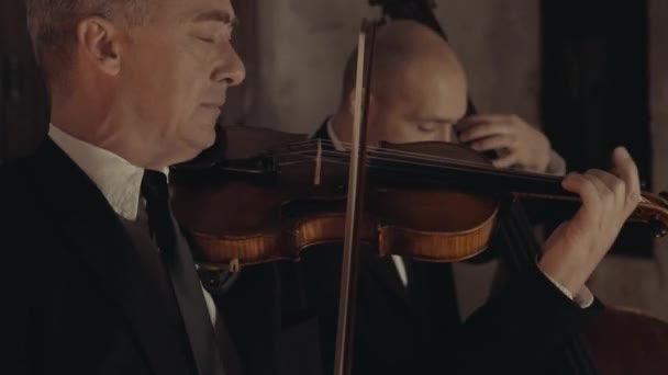 Idősebb Férfi Hegedűművész Szenvedélyesen Játszik Egy Fiatalabb Férfi Csellistával Háttérben — Stock videók