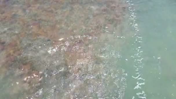 Clear Ocean Tide Flowing Back Sea — Stock Video